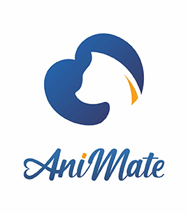 Animate pet app project image